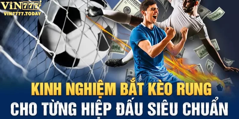 Kinh nghiệm bắt kèo rung siêu chuẩn từ cao thủ