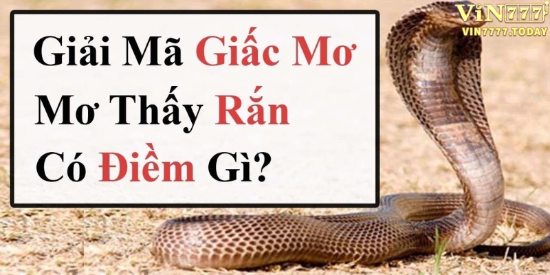 Giải mã giấc mơ thấy rắn đánh gì?