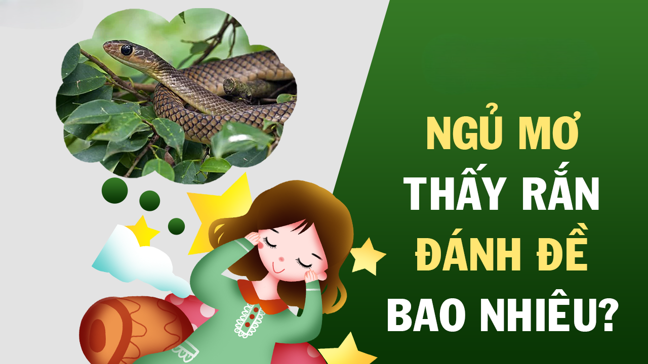 Con số nên vào tiền khi chưa biết mơ thấy rắn đánh gì?